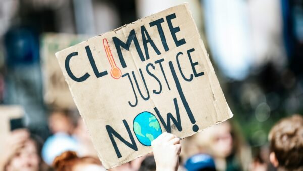 What is Climate Fiction?