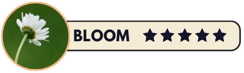 Bloom Climate Fiction Rating